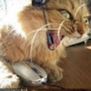 Meet your Posher, Rick